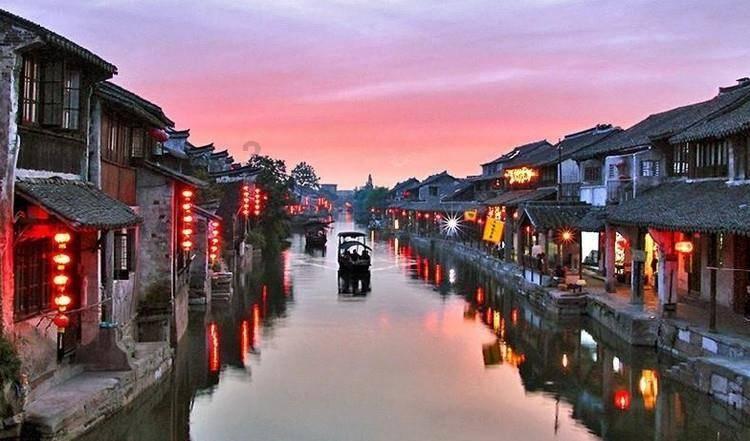 勿忘我